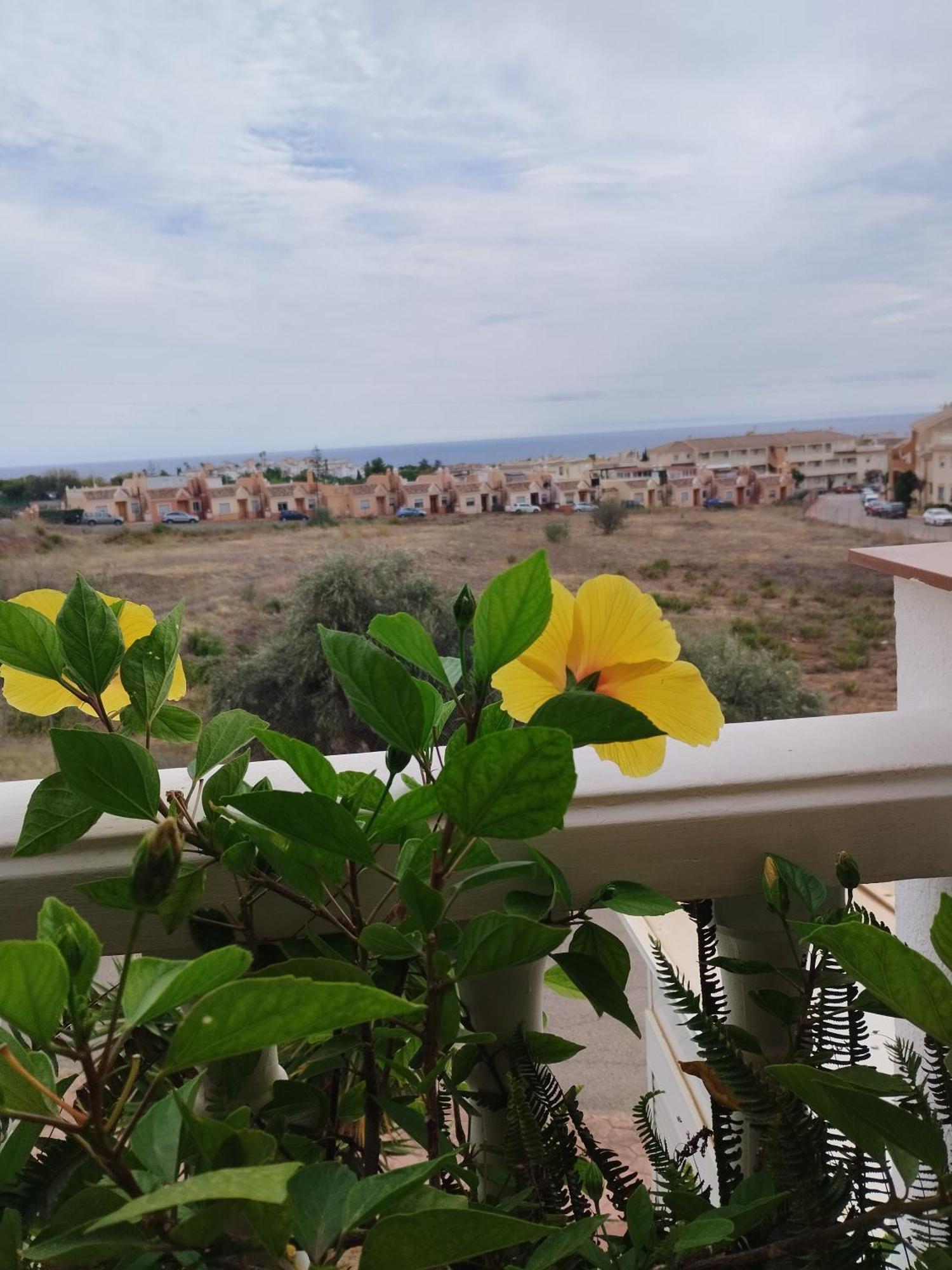 Casa Carino Apartman Torrox Kültér fotó