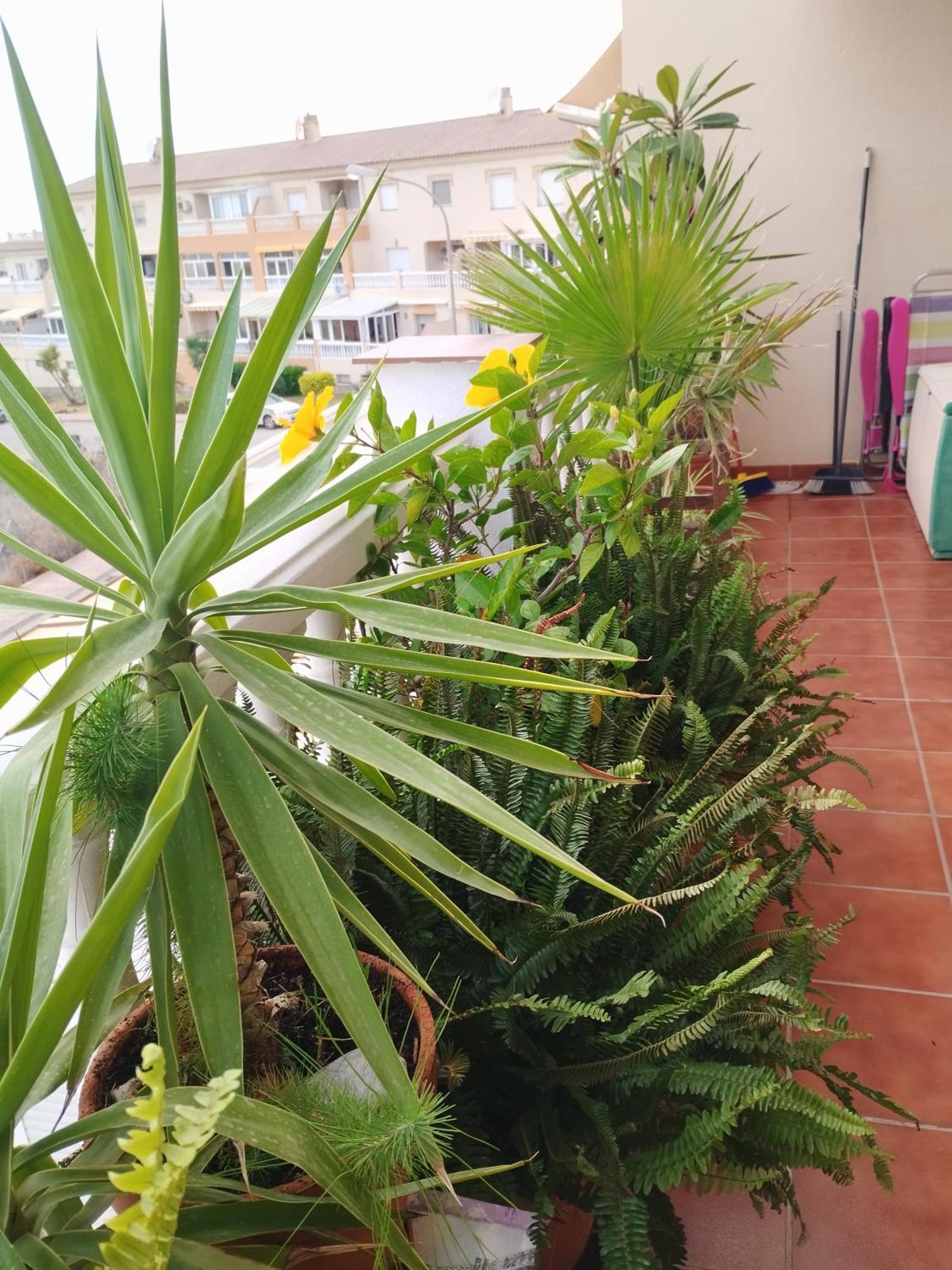 Casa Carino Apartman Torrox Kültér fotó